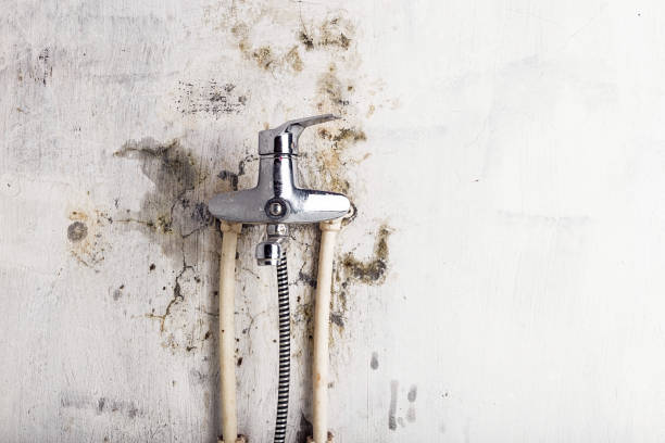Best Mold Testing and Inspection Services in Deforest, WI
