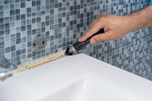 Professional Mold Remediation in Deforest, WI