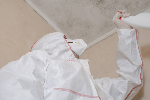 Best HVAC Mold Remediation in Deforest, WI