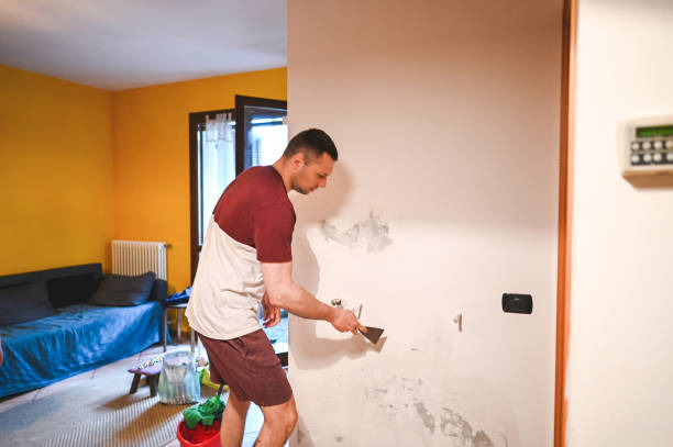 Best Emergency Mold Remediation in Deforest, WI